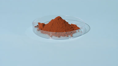 Coffee Powder in Petri Dish with Dynamic Lighting