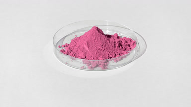 Pink Fine Powder in Petri Dish with Rotating Light