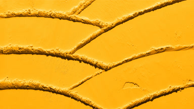 Dynamic Shadows on Marigold Powder Surface