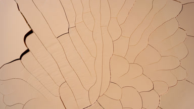 Beige Surface Drying: Time-Lapse with Mudcrack Texture