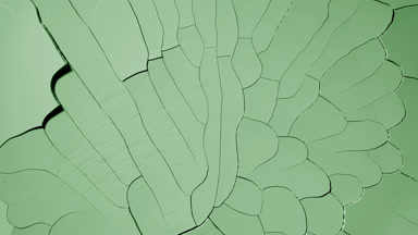 Pale Green Surface Drying: Time-Lapse with Cracks