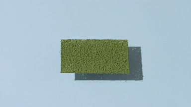 Wide Vertical Shot of Green Powder on Pale Azure