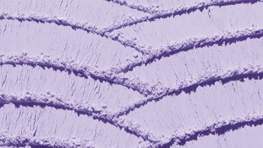 Pastel Violet Powder with Knife Trails and Dynamic Shadows