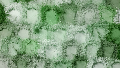 Green Powder Smears Shattered from Above