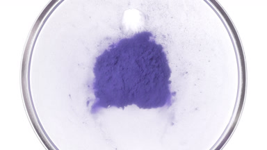Violet Dust Torrent in Petri Dish on White Background