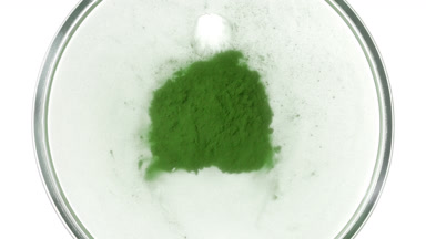 Green Substance Cloud in Petri Dish on Clear White Background