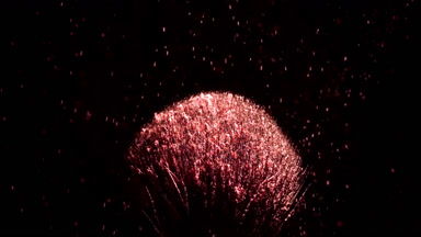 Red Powder Falling on Black Brush for Blush