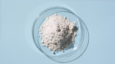 Overhead View of White Powder in Petri Dish