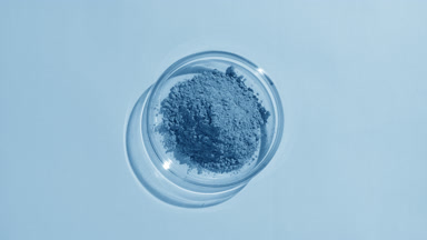 Blue Powder in Glass Petri Dish on Blue Background