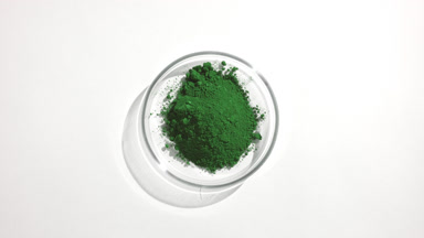 Overhead View of Green Powder in Petri Dish