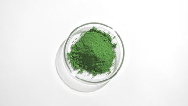 Top View of Green Powder in Lab Petri Dish