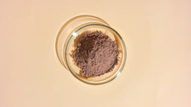 Cocoa Powder in Petri Dish with Dynamic Shadows