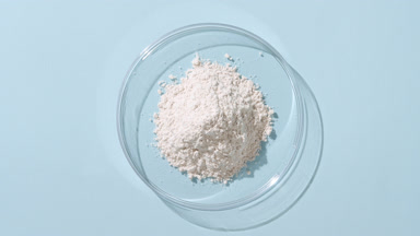 White Powder in Petri Dish on Pastel Blue with Light