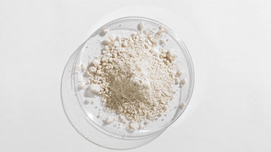 White Powder in Petri Dish on Muted Grey Background with Light