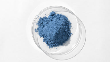 Blue Fine Powder in Petri Dish on Light Gray Background