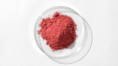 Red Fine Powder in Transparent Petri Dish on Subtle Grey