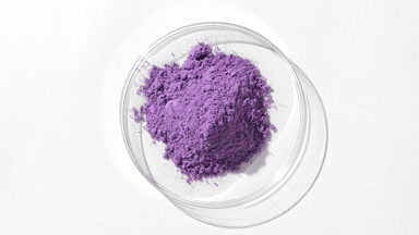 Violet Fine Powder in Petri Dish on Dim Grey Background