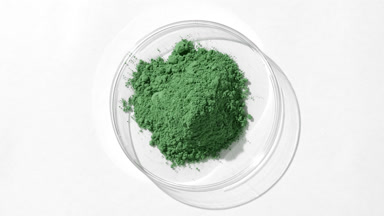 Green Fine Powder in Petri Dish with Dynamic Shadows