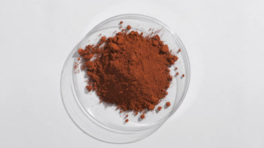 Black Tea Powder in Petri Dish with Evolving Shadows