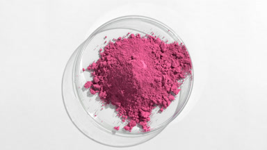 Pink Fine Powder in Petri Dish with Shifting Shadows