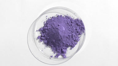 Violet Fine Powder in Petri Dish with Dynamic Lighting