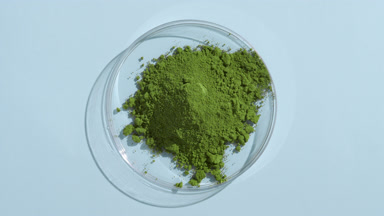 Green Fine Powder in Petri Dish with Dynamic Lighting