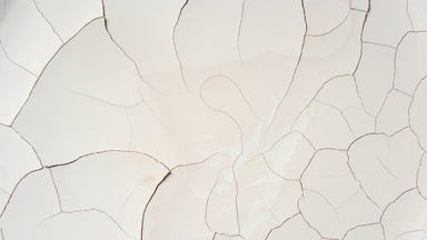 Beige Surface Drying with Visible Cracks