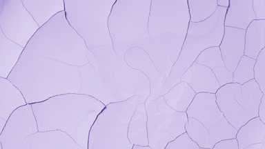 Violet Surface Drying with Mudcrack Appearance
