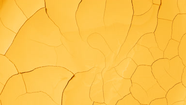 Time-Lapse of Yellow Surface Drying with Mudcrack Patterns