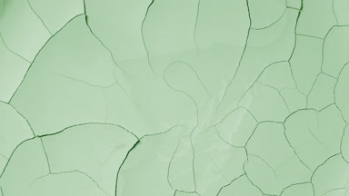 Pale Green Surface Drying: Time-Lapse with Cracks