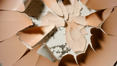 Beige Surface Time-Lapse with Intricate Drying Cracks
