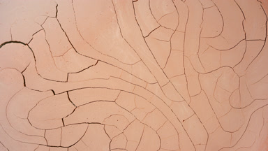 Orange Surface Drying: Time-Lapse with Mudcrack Patterns