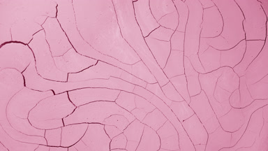 Time-Lapse of Pink Surface Drying with Mudcracks