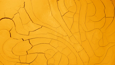 Time-Lapse of Yellow Surface Drying with Mudcracks