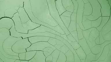Time-Lapse of Pale Green Surface Drying with Mudcracks