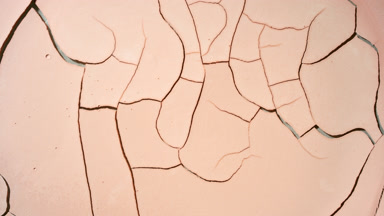 Time-Lapse of Orange Surface Drying with Mudcracks