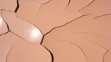 Time-Lapse of Orange Surface Drying with Mudcracks