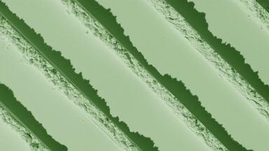 Pale Green Powder Surface Textured with Dynamic Shadows