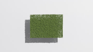 Green Powder Rectangle Shadow on Pale Grey Surface