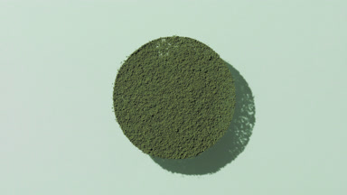 Green Powder with Moving Shadows on Pale Green