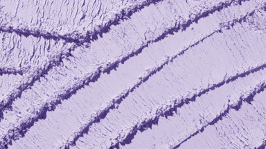 Violet Powder Surface with Overlapping Knife Trails and Light
