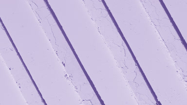 Pastel Violet Powder Surface with Light and Shadows