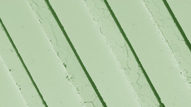 Pale Green Smooth Powder with Shifting Shadows