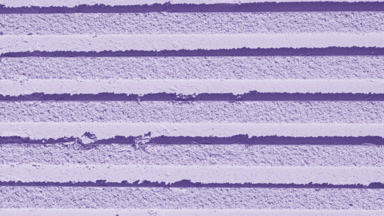 Vivid Shadows on Violet Fine-Textured Powder Surface
