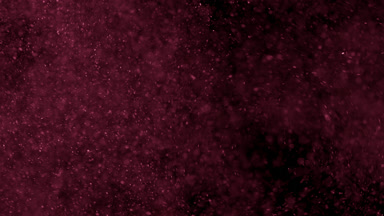 Floating Pink Powder Dust on Black Background