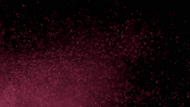 Floating Pink Powder Dust on Black Background
