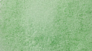 Slow-Motion Burst of Pale Green Powder from Above