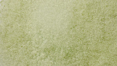 Green Powder Exploding Upward in Slow Motion