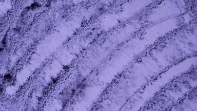 Slow-Motion Violet Powder Burst with Palette Knife Trails