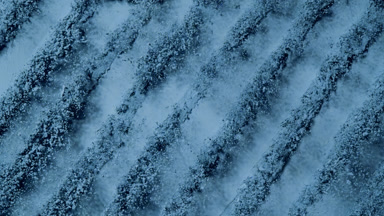 Slow-Motion Blue Powder Burst with Palette Knife Effects